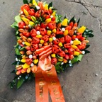 Tulipanhjerte.jpg