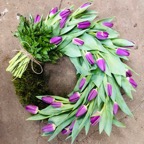Tulipankrans, lilla.jpg