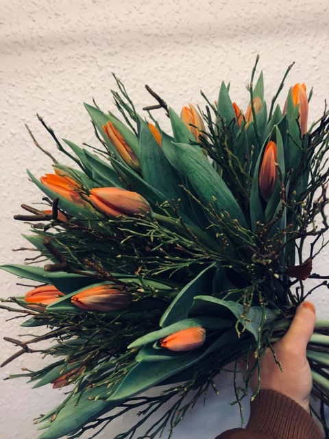 Tulipanbuket.jpg